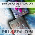 Sildenafil Kamagra 100Mg Oral Jelly 38